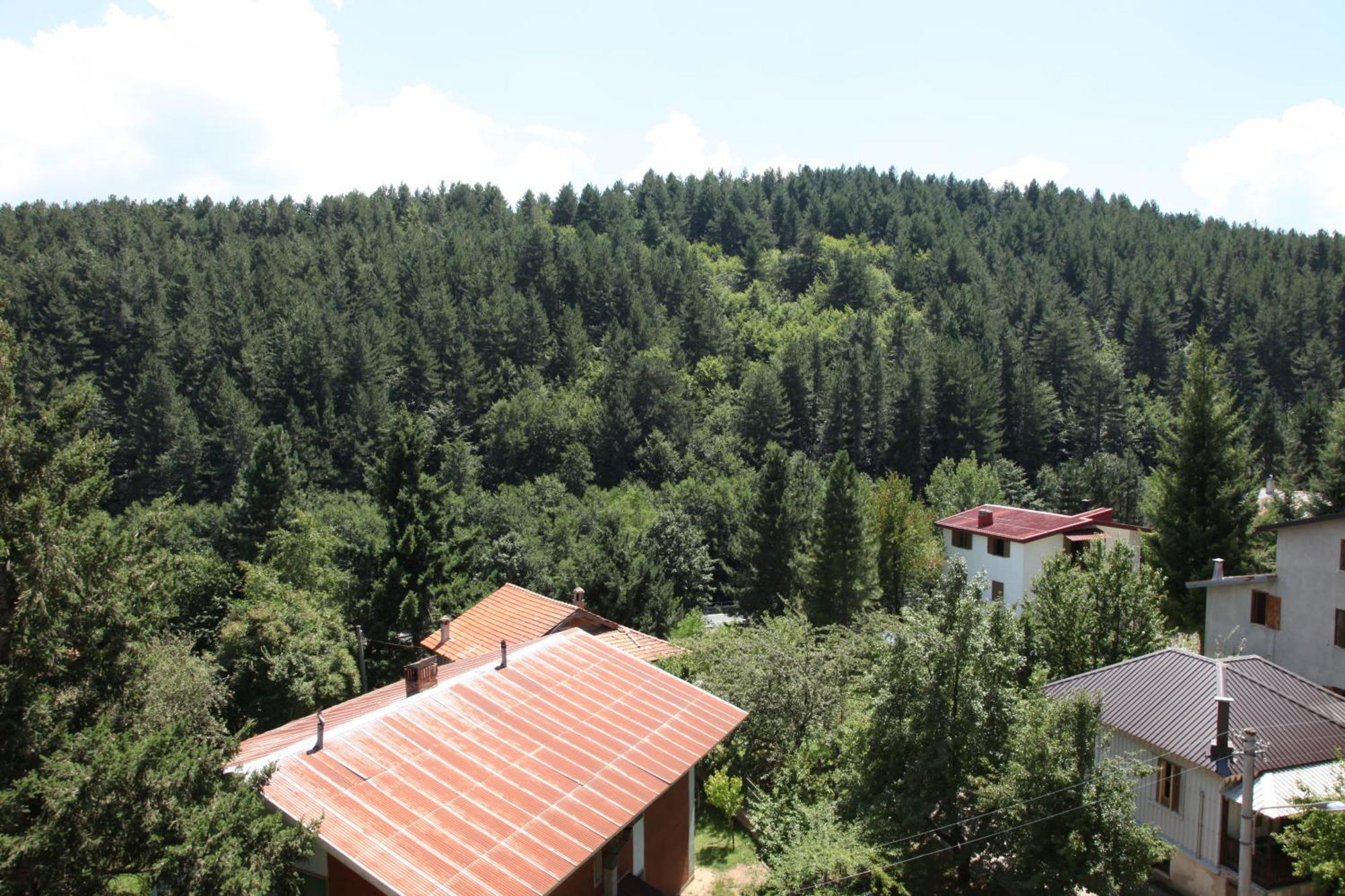 Hotel Tasso Камільятелло-Сілано Екстер'єр фото